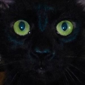 Meet your Posher, Teanna